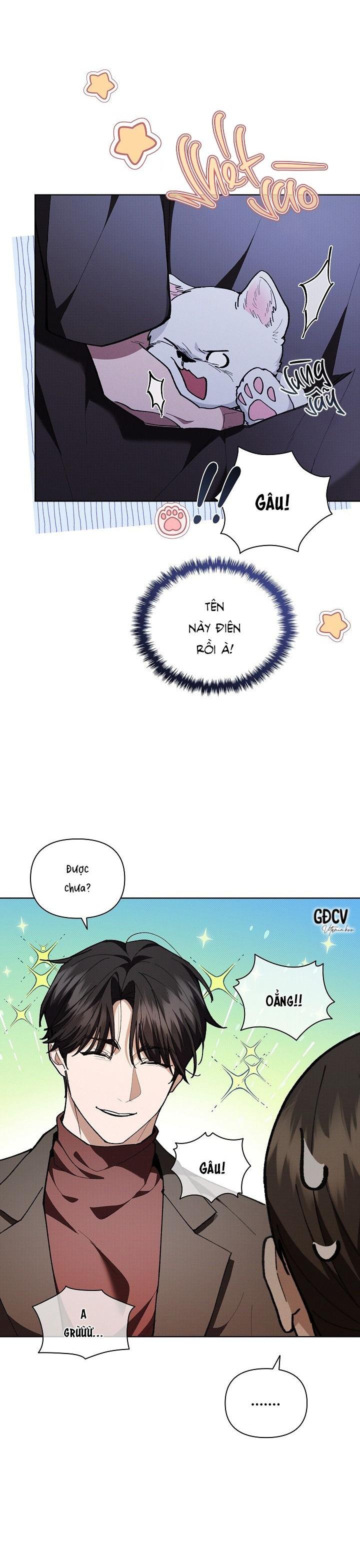 Đọc truyện ĐỪNG CHẠM VÀO CÚN CON CỦA TÔI - Chapter 5