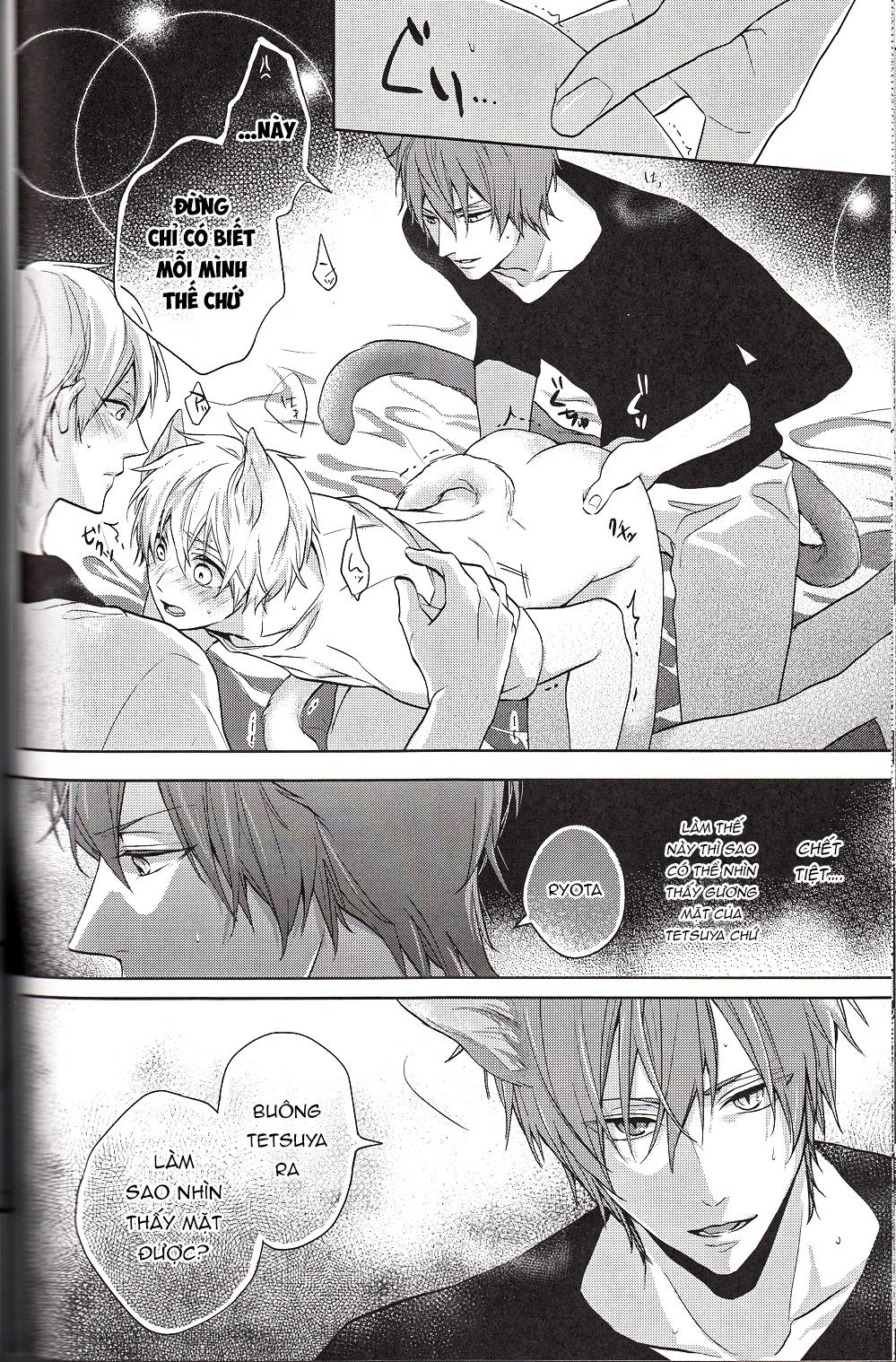 Đọc truyện Doujinshi của Kuroko no basket ball - Chapter 6