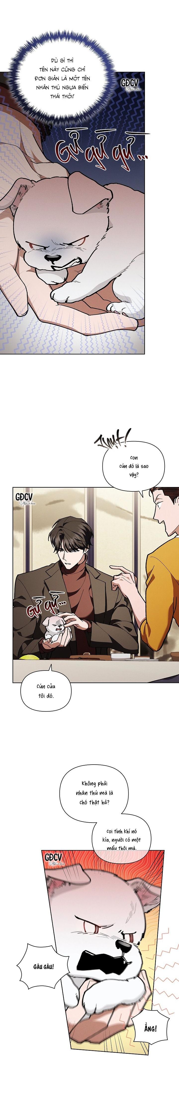 Đọc truyện ĐỪNG CHẠM VÀO CÚN CON CỦA TÔI - Chapter 5