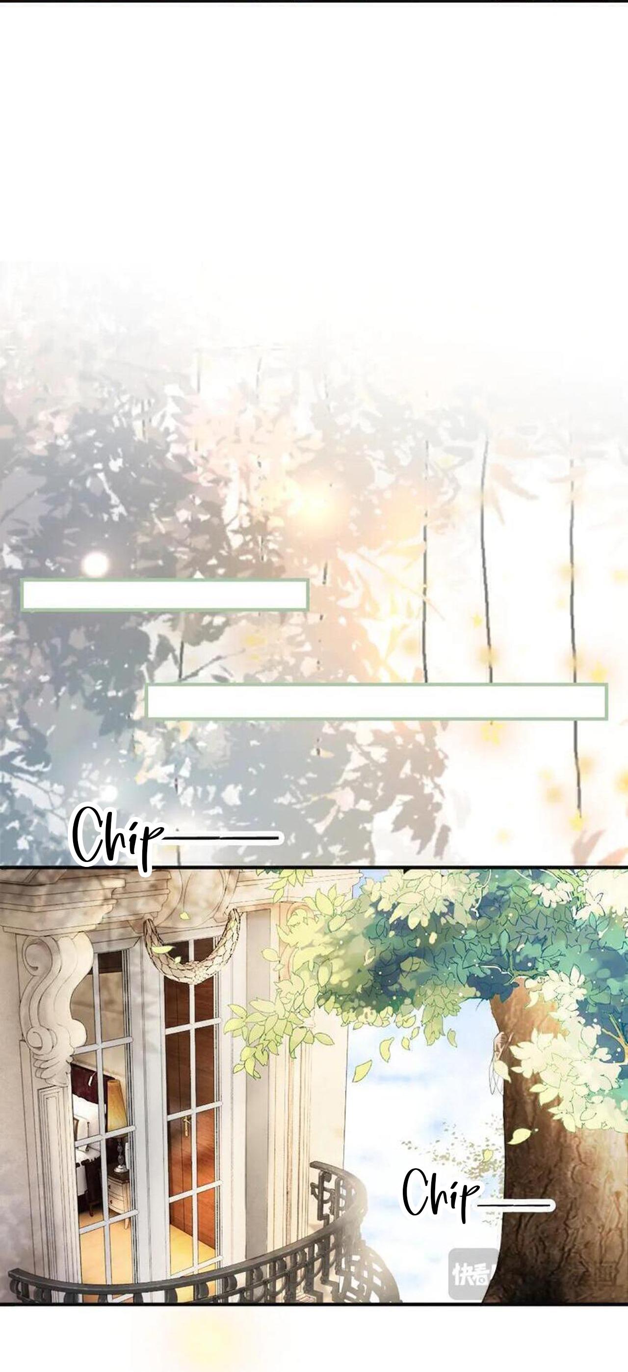 Đọc truyện Tiểu thiếu gia dựa vào nhan sắc càn quét toàn hệ thống - Chapter 52