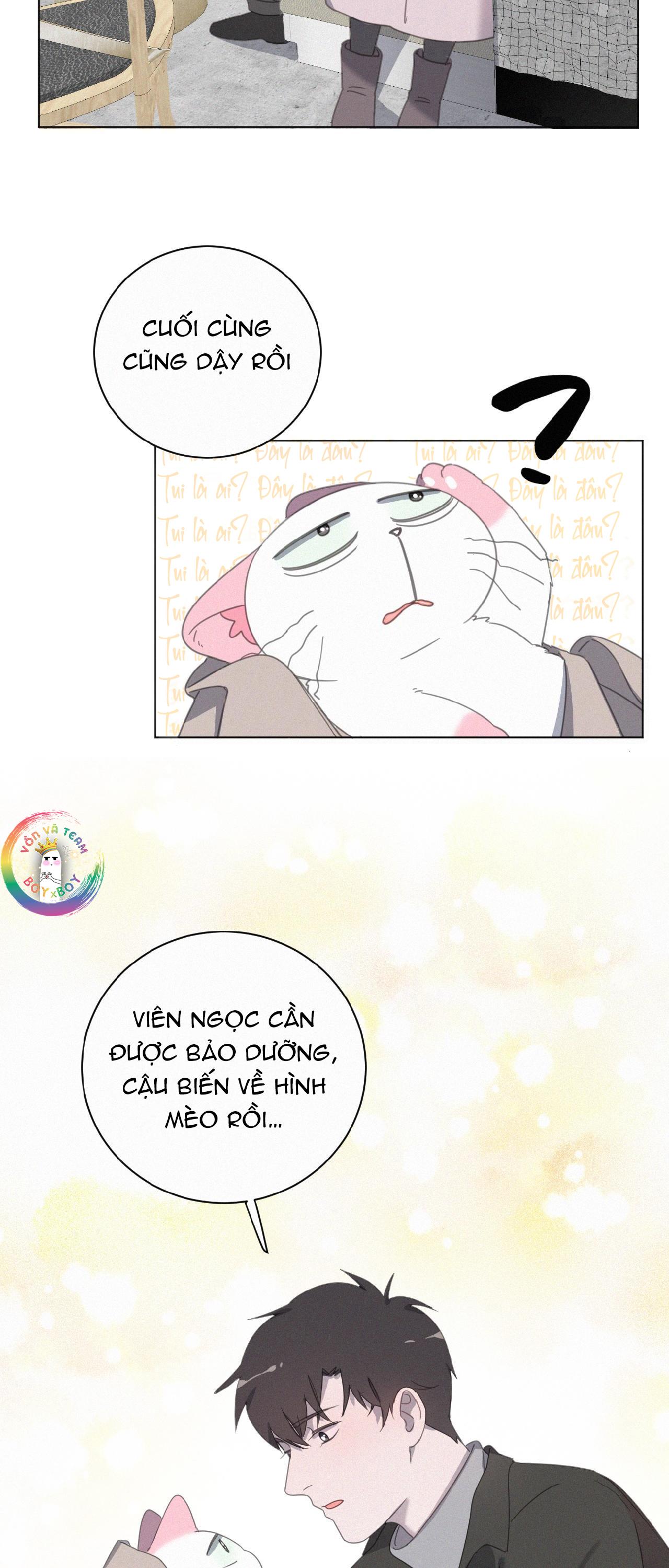 Đọc truyện Xã Hội Mồn Lèo - Chapter 54