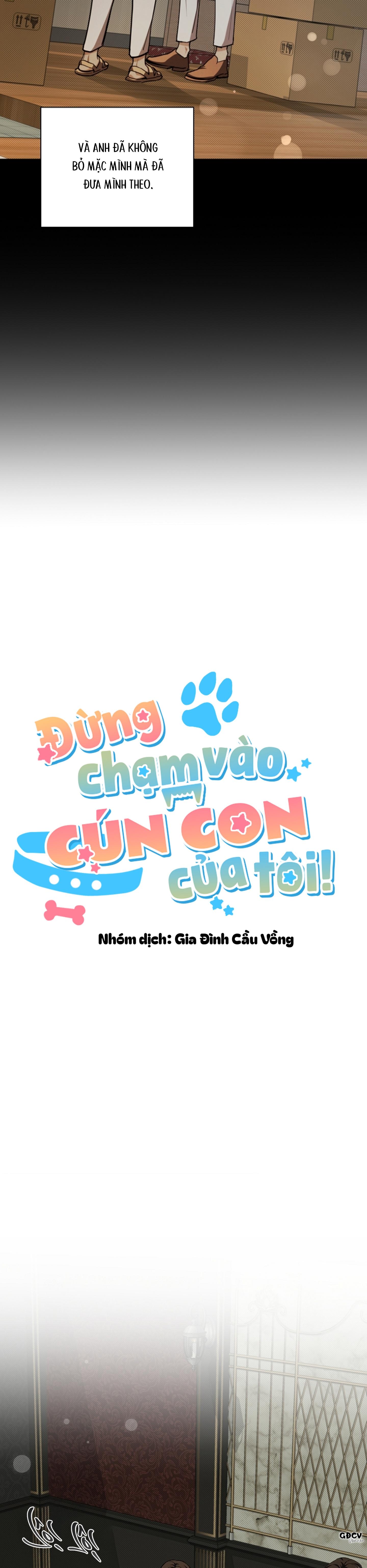 Đọc truyện ĐỪNG CHẠM VÀO CÚN CON CỦA TÔI - Chapter 16