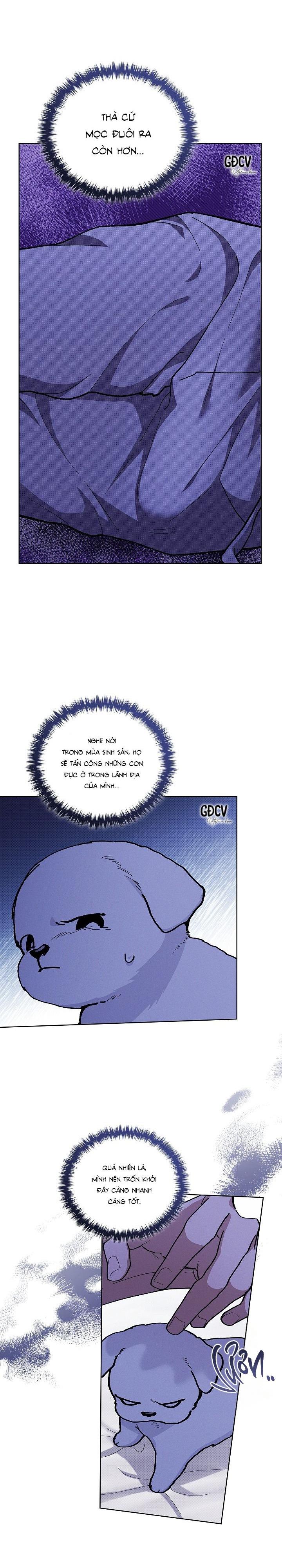 Đọc truyện ĐỪNG CHẠM VÀO CÚN CON CỦA TÔI - Chapter 7