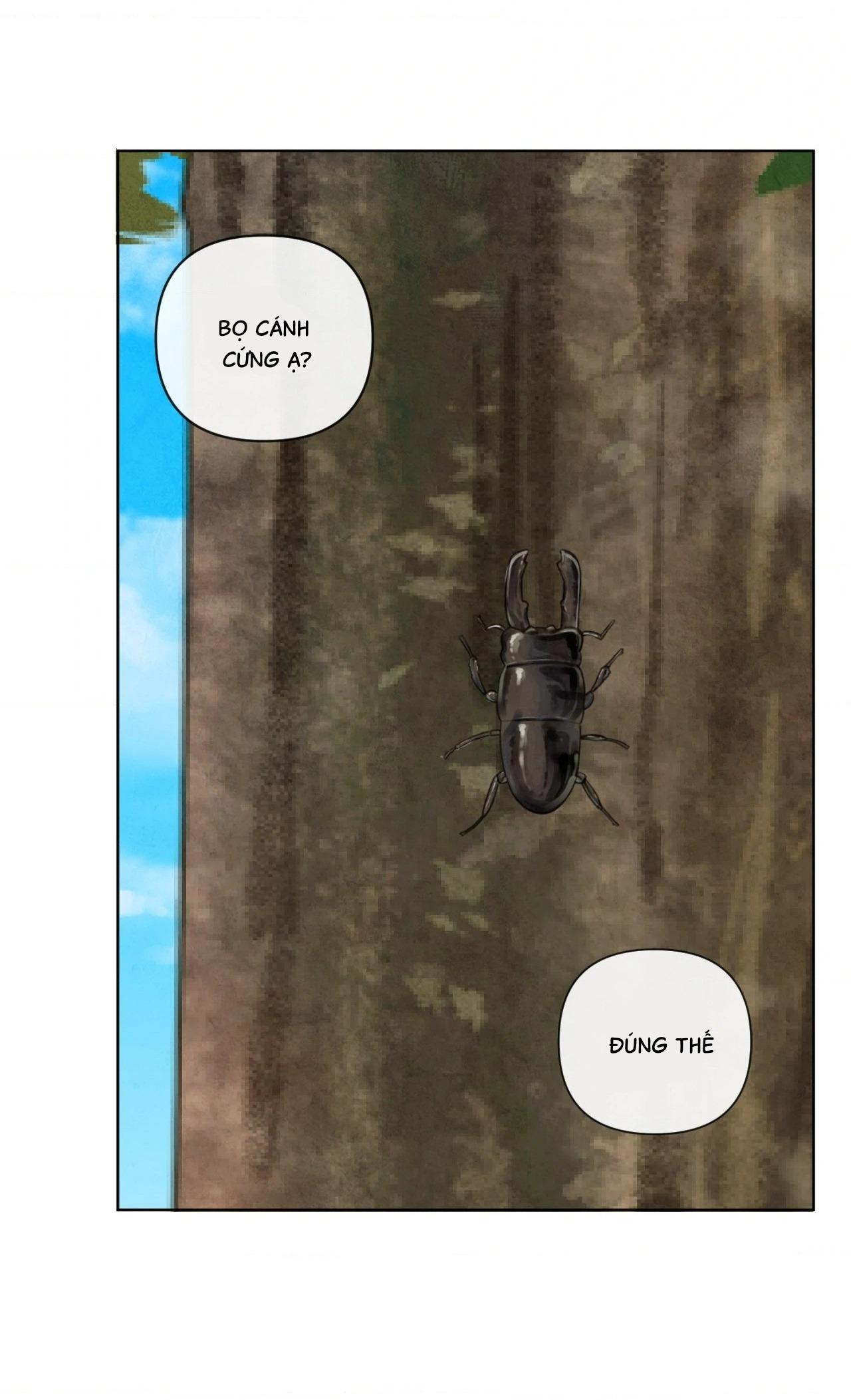 Đọc truyện Sự quyến rũ của Thần Rắn - Chapter 20