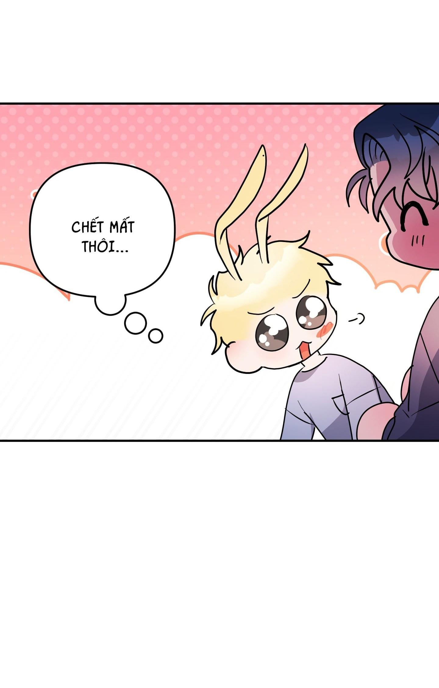 Đọc truyện CÁ MẬP VÀ CÔ DÂU THỎ - Chapter 48