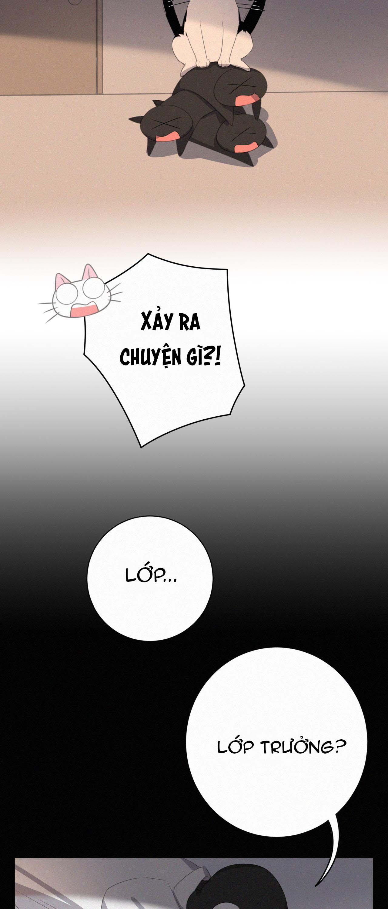 Đọc truyện Xã Hội Mồn Lèo - Chapter 38