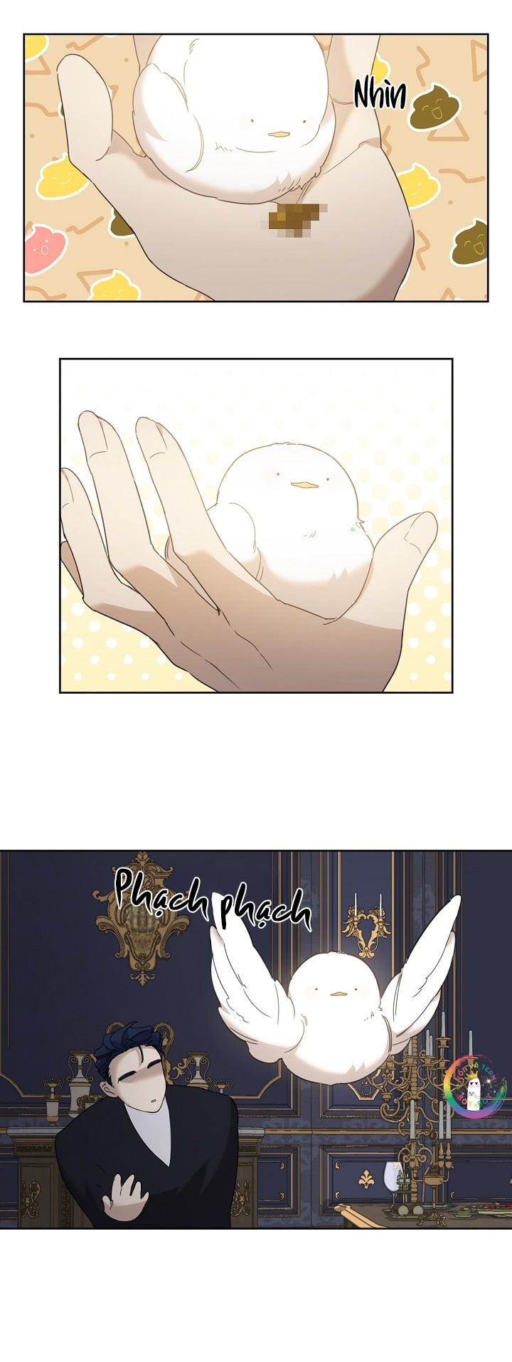 Đọc truyện Này, Đừng Có Nhấn Cái Nút Đó! - Chapter 5