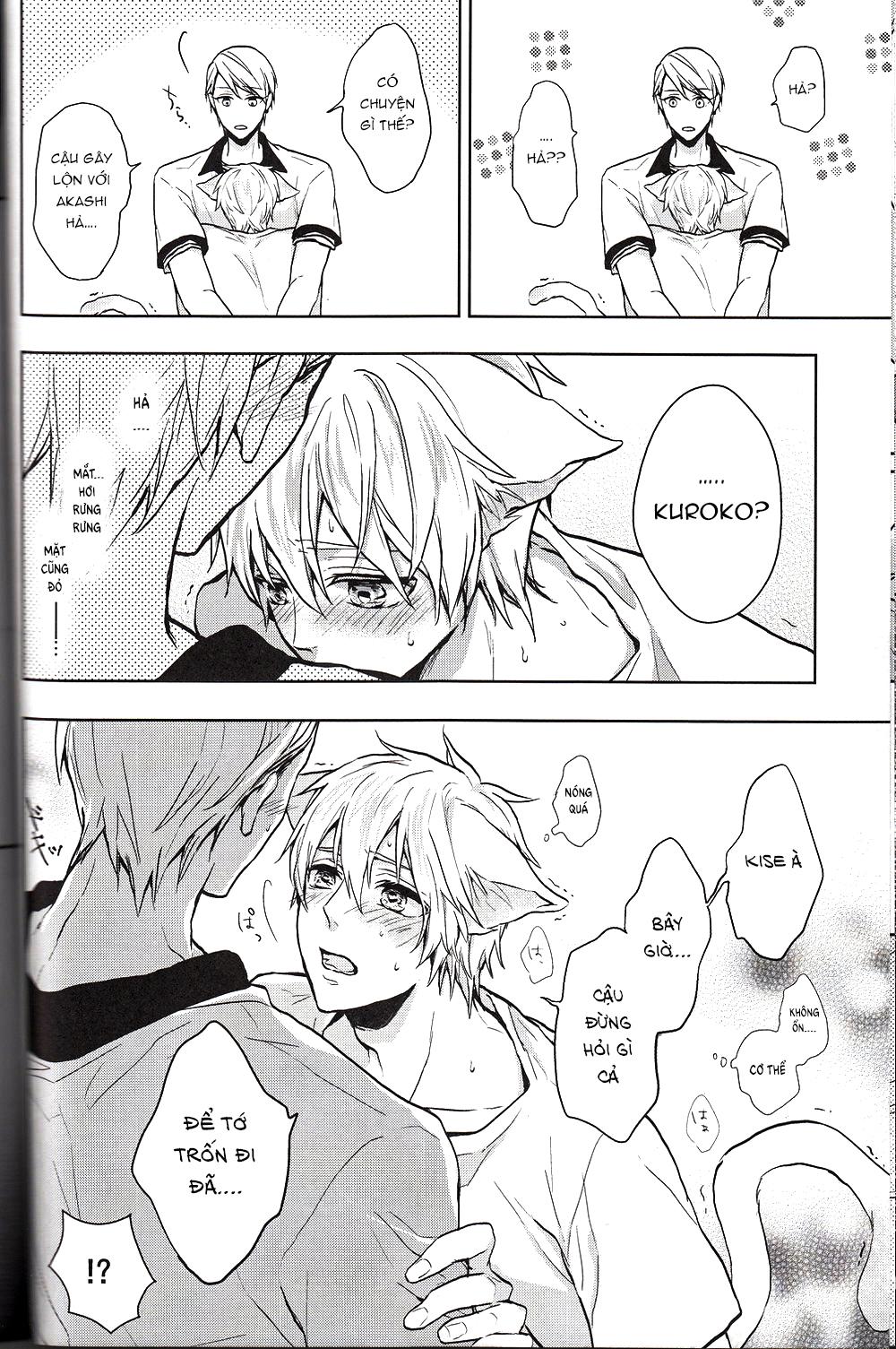 Đọc truyện Doujinshi của Kuroko no basket ball - Chapter 6
