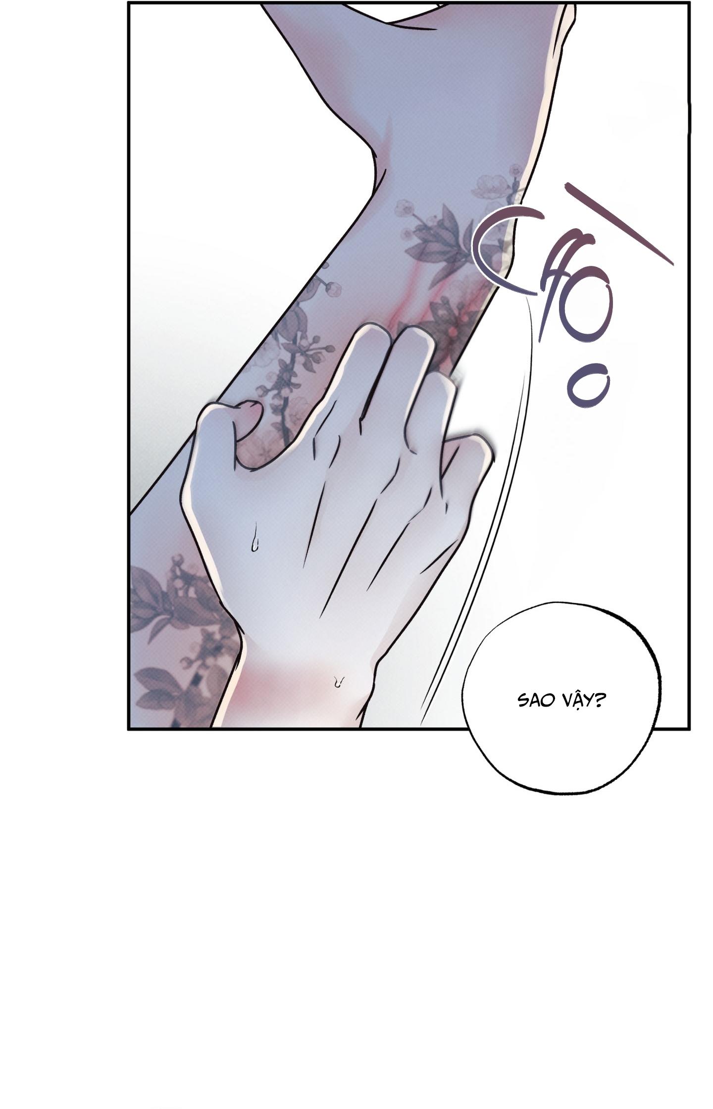 Đọc truyện RANH GIỚI CỦA SỰ MÊ HOẶC - Chapter 1