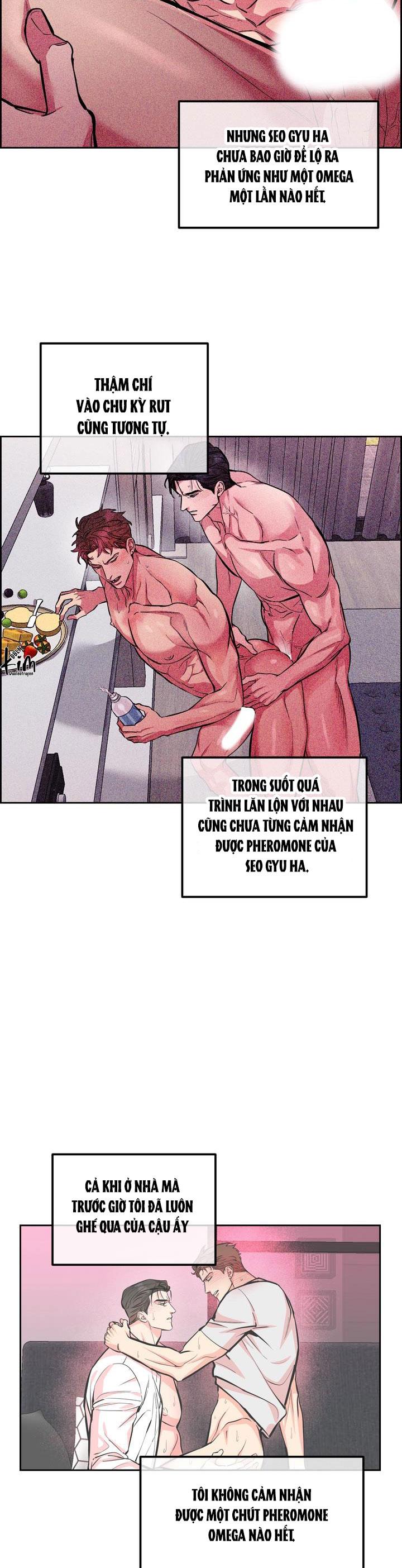 Đọc truyện CHÓ VÀ CHIM - Chapter 37