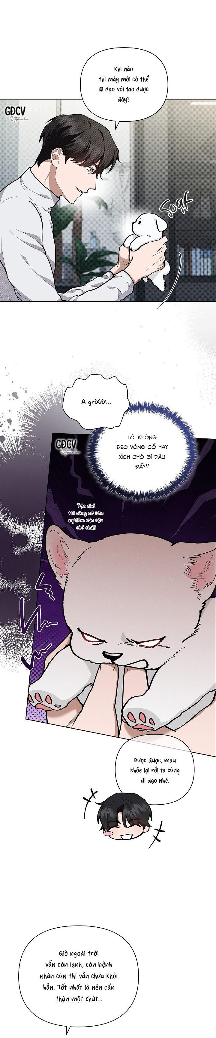 Đọc truyện ĐỪNG CHẠM VÀO CÚN CON CỦA TÔI - Chapter 7