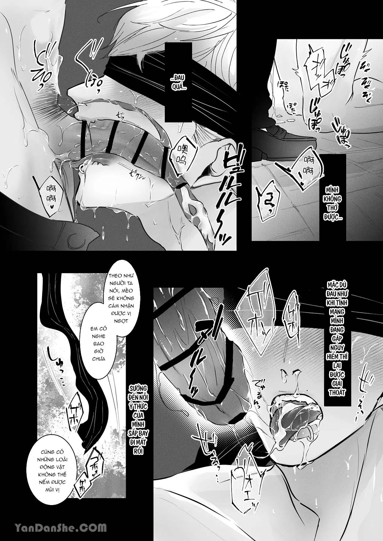 Đọc truyện Ở đây có yaoi hơi bị choáy - Chapter 298.2