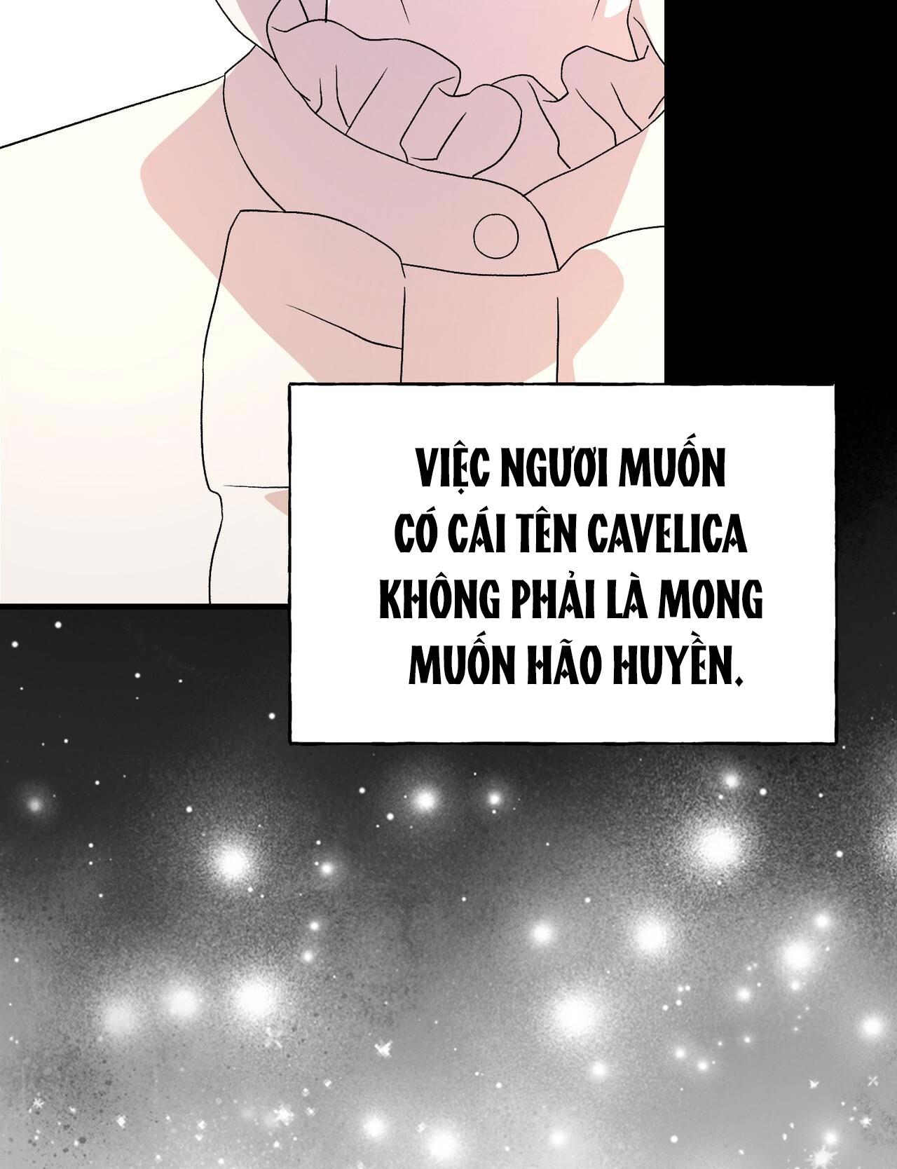 Đọc truyện (ABO) ĐÁM CƯỚI HOÀNG GIA - Chapter 24