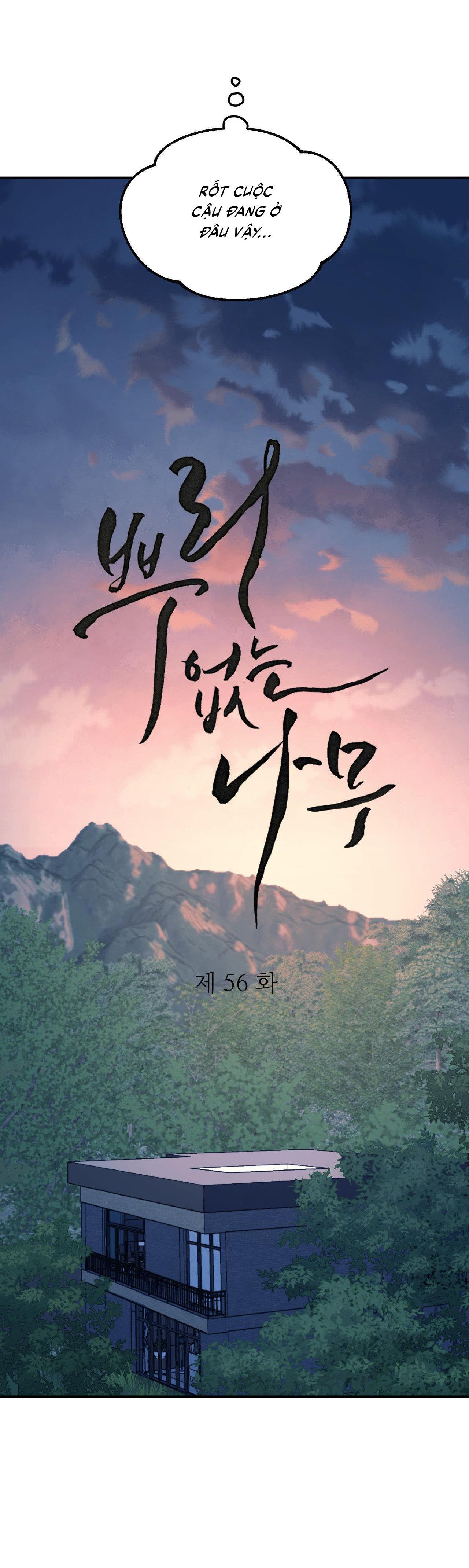 Đọc truyện (CBunu) Cây Không Có Rễ - Chapter 56