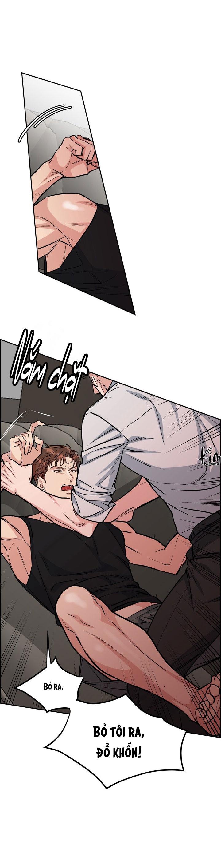 Đọc truyện CHÓ VÀ CHIM - Chapter 39
