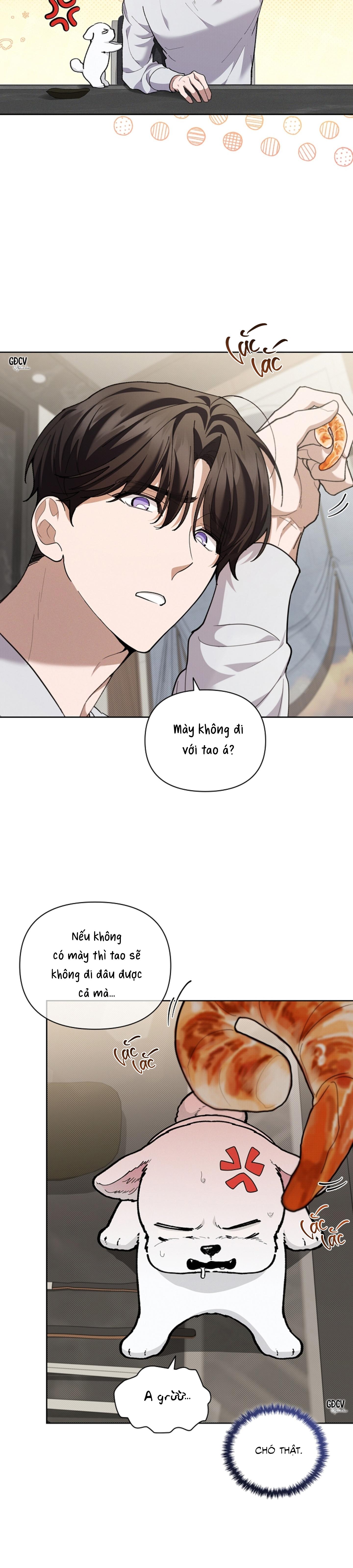 Đọc truyện ĐỪNG CHẠM VÀO CÚN CON CỦA TÔI - Chapter 10