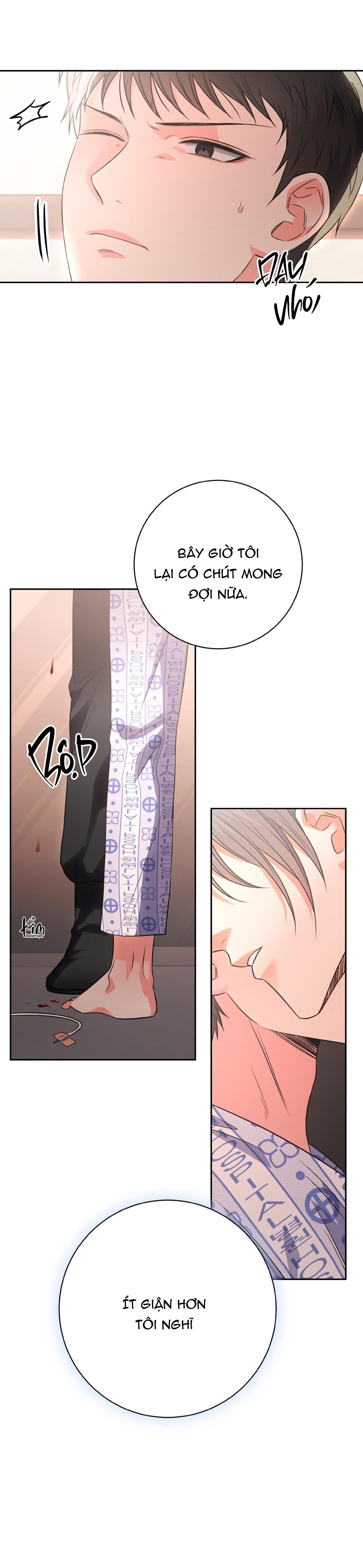 Đọc truyện CHÁN GHÉT - Chapter 24