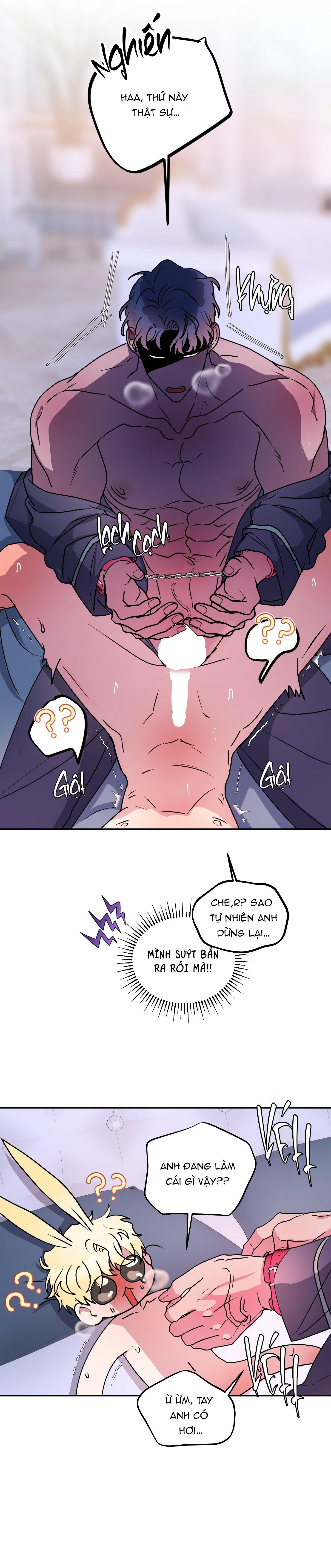 Đọc truyện CÁ MẬP VÀ CÔ DÂU THỎ - Chapter 50