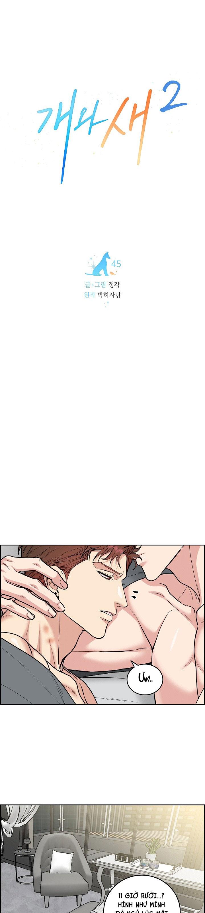 Đọc truyện CHÓ VÀ CHIM - Chapter 45