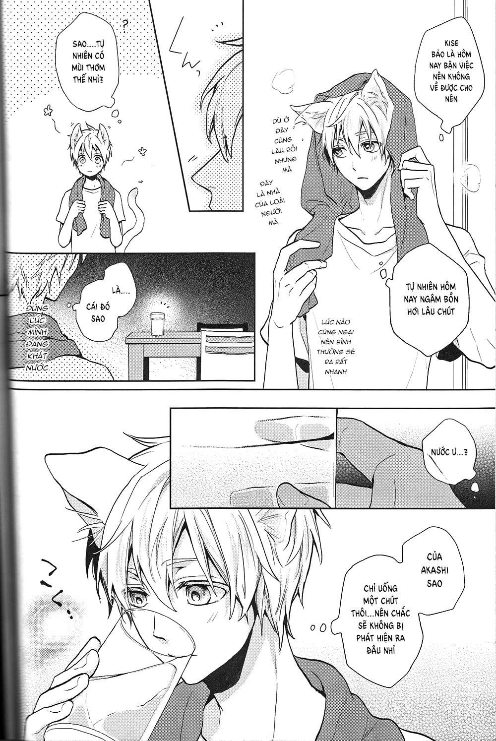 Đọc truyện Doujinshi của Kuroko no basket ball - Chapter 6