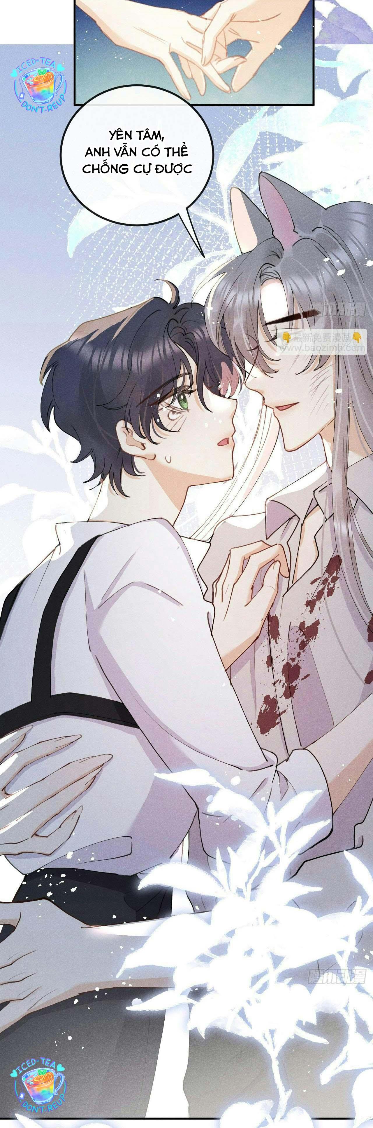 Đọc truyện Lang Sói Thượng Khẩu - Chapter 82