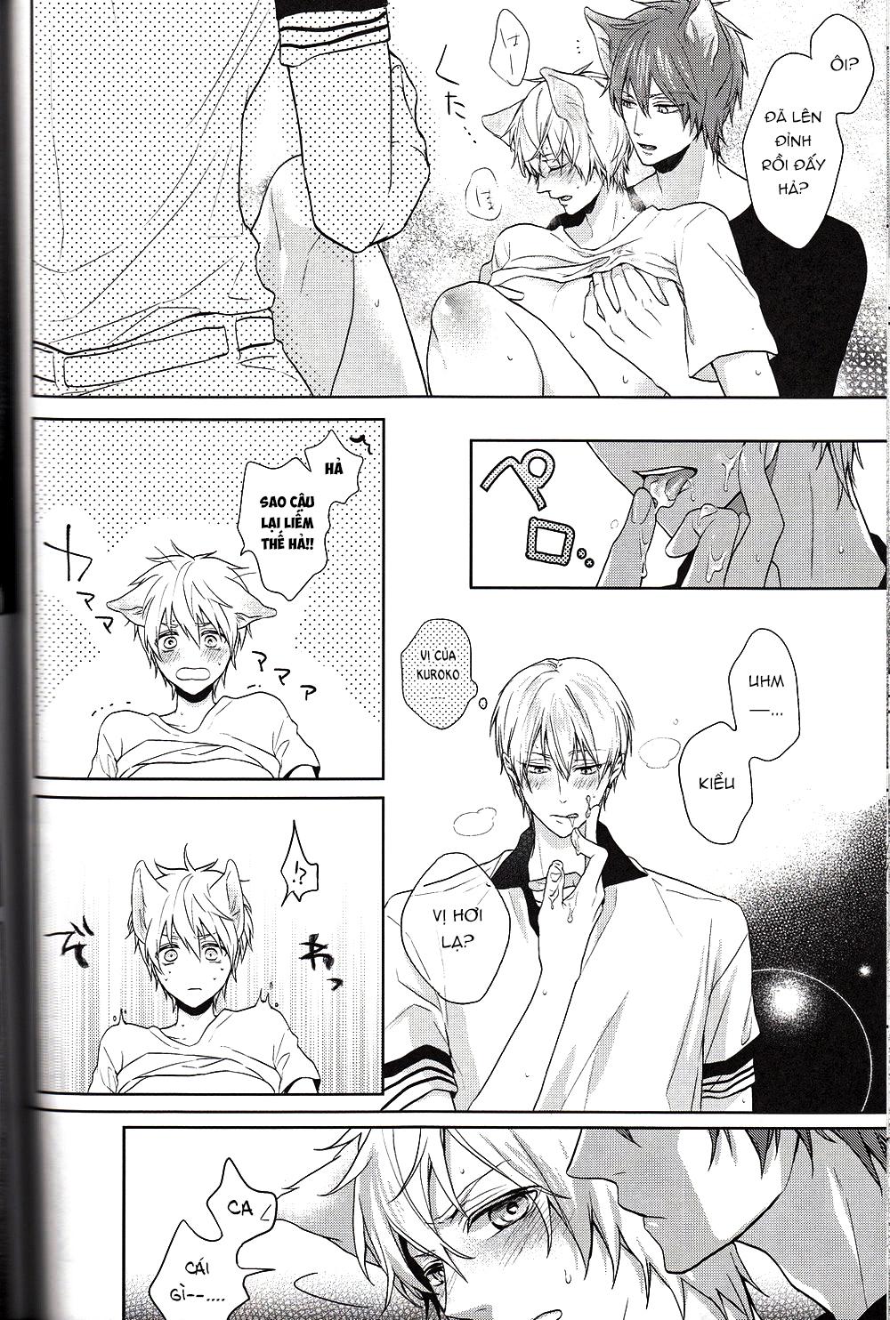 Đọc truyện Doujinshi của Kuroko no basket ball - Chapter 6