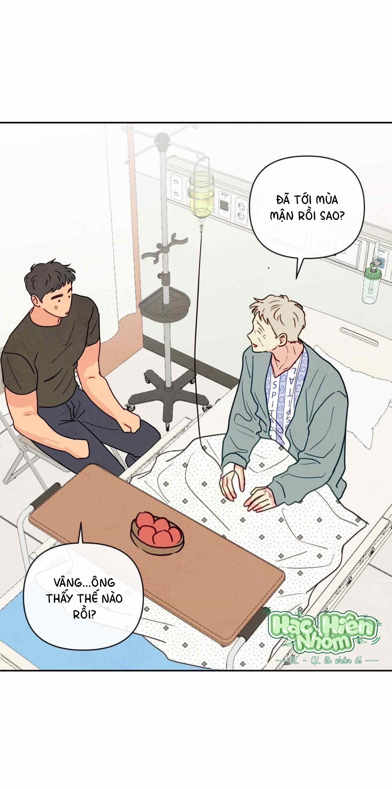 Đọc truyện Sự quyến rũ của Thần Rắn - Chapter 8