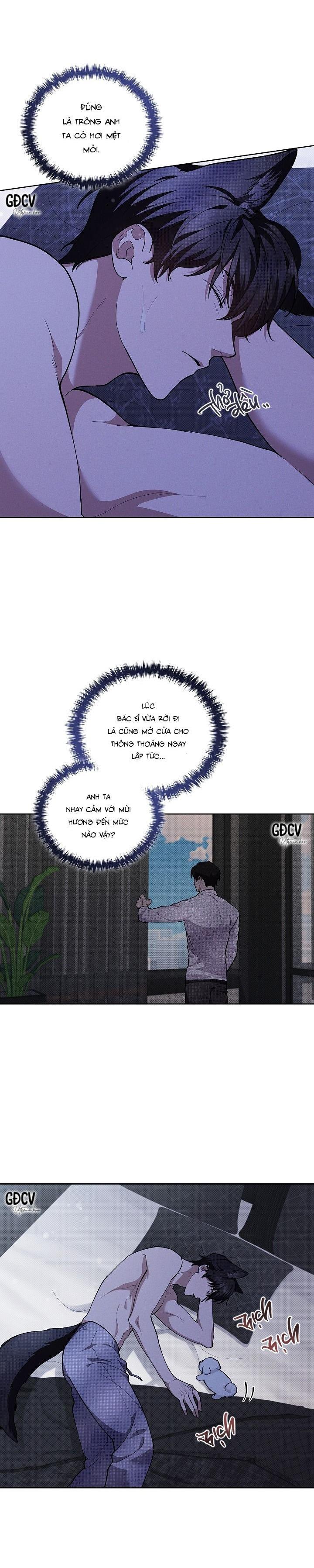Đọc truyện ĐỪNG CHẠM VÀO CÚN CON CỦA TÔI - Chapter 7