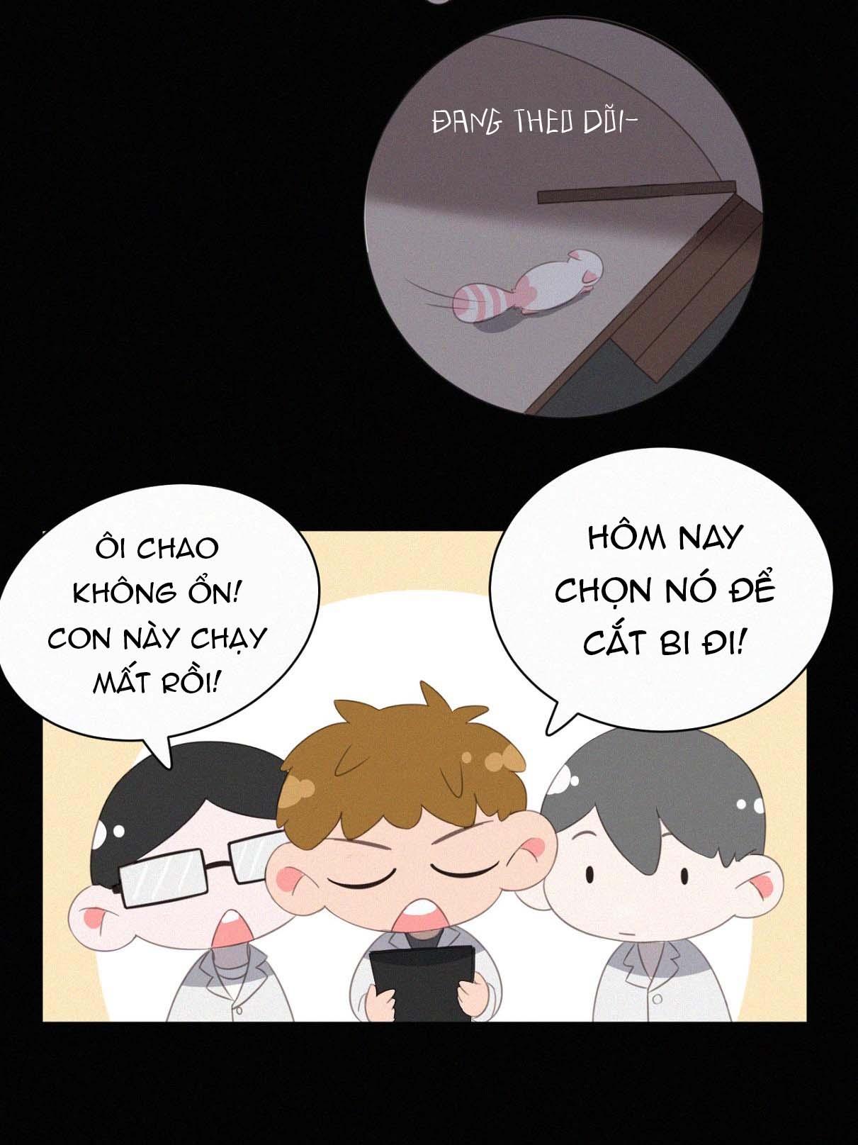 Đọc truyện Xã Hội Mồn Lèo - Chapter 38