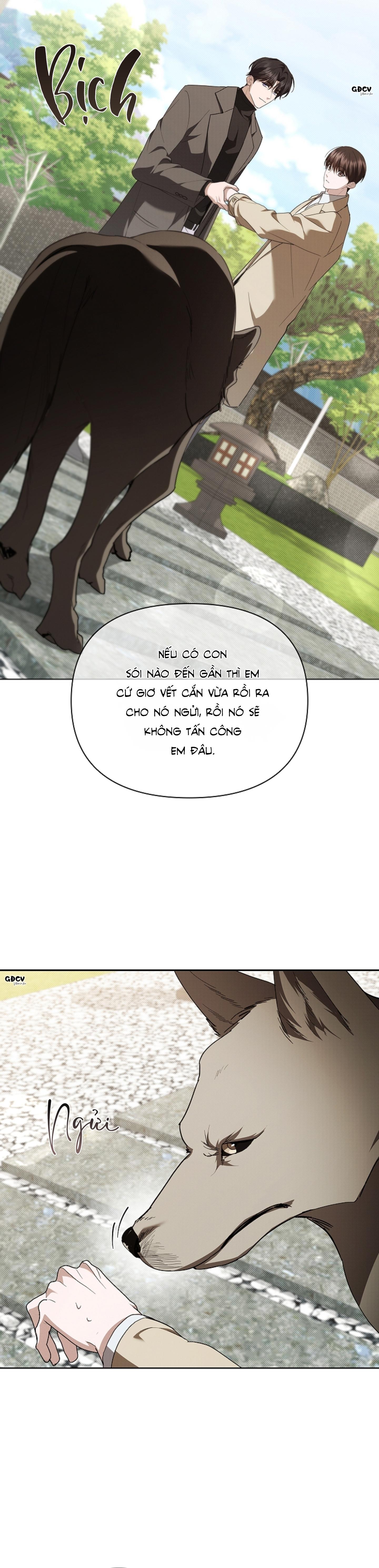 Đọc truyện ĐỪNG CHẠM VÀO CÚN CON CỦA TÔI - Chapter 29