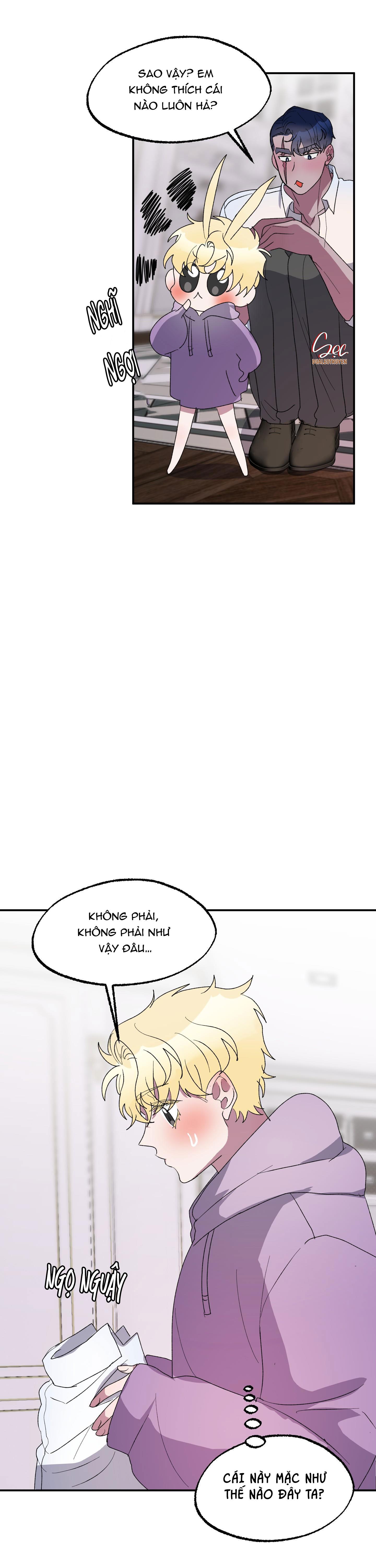 Đọc truyện CÁ MẬP VÀ CÔ DÂU THỎ - Chapter 21