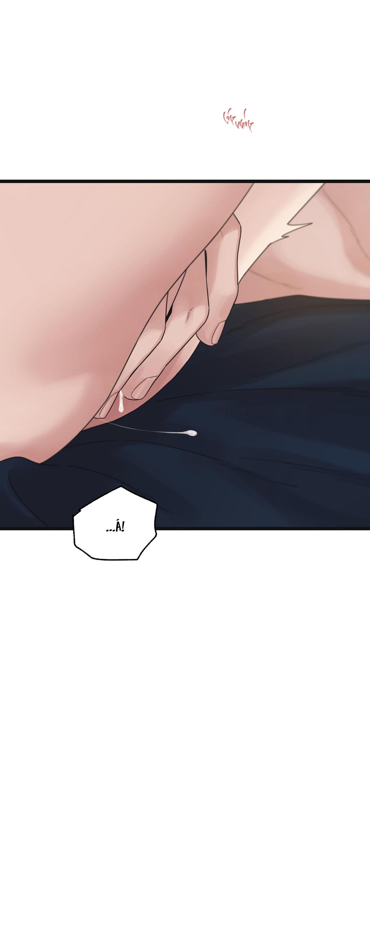 Đọc truyện TRÙNG PHÙNG - Chapter 51