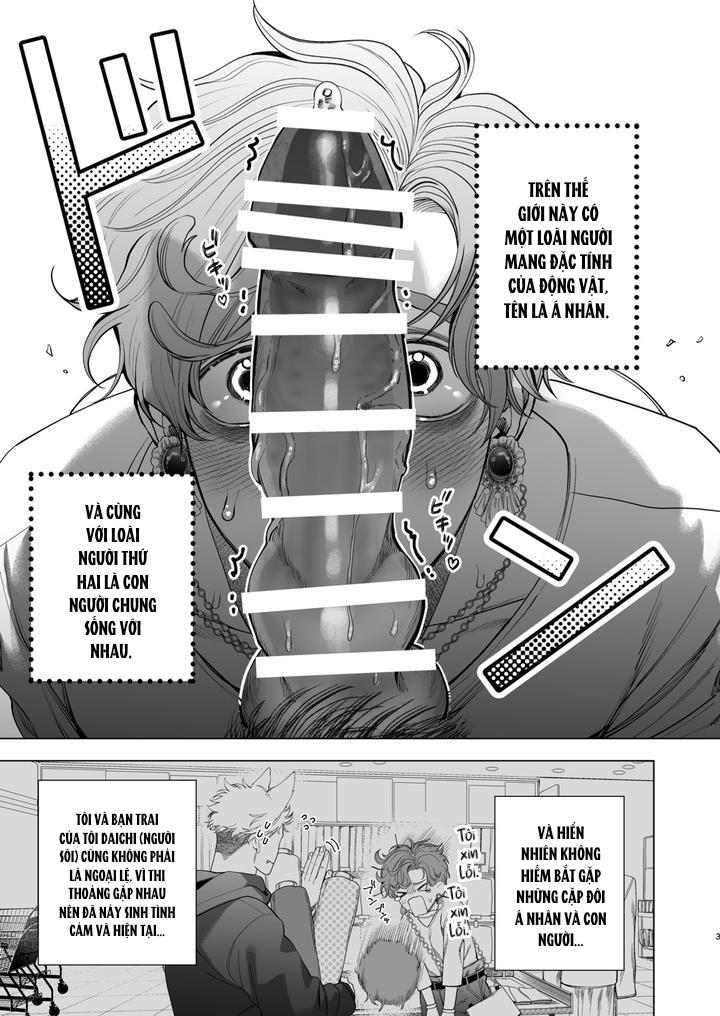 Đọc truyện Ở đây có yaoi hơi bị choáy - Chapter 91