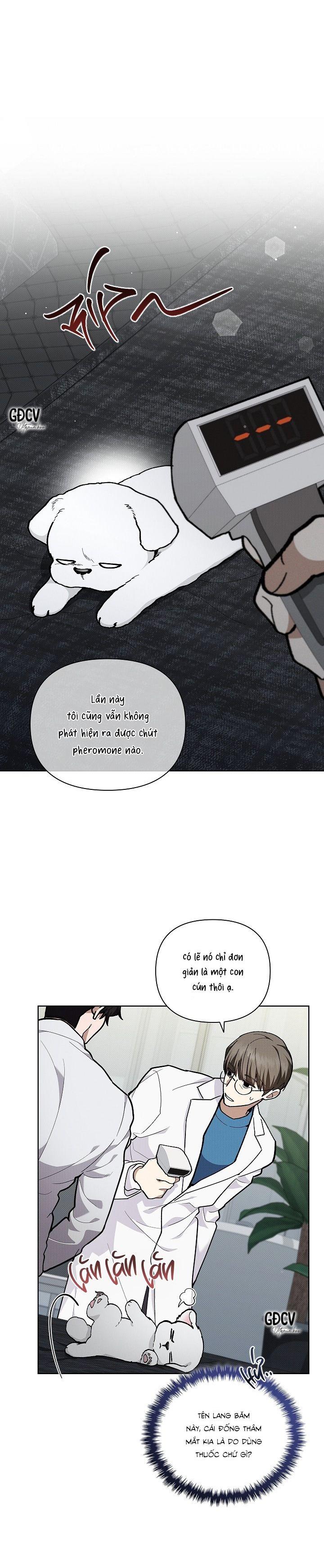 Đọc truyện ĐỪNG CHẠM VÀO CÚN CON CỦA TÔI - Chapter 7