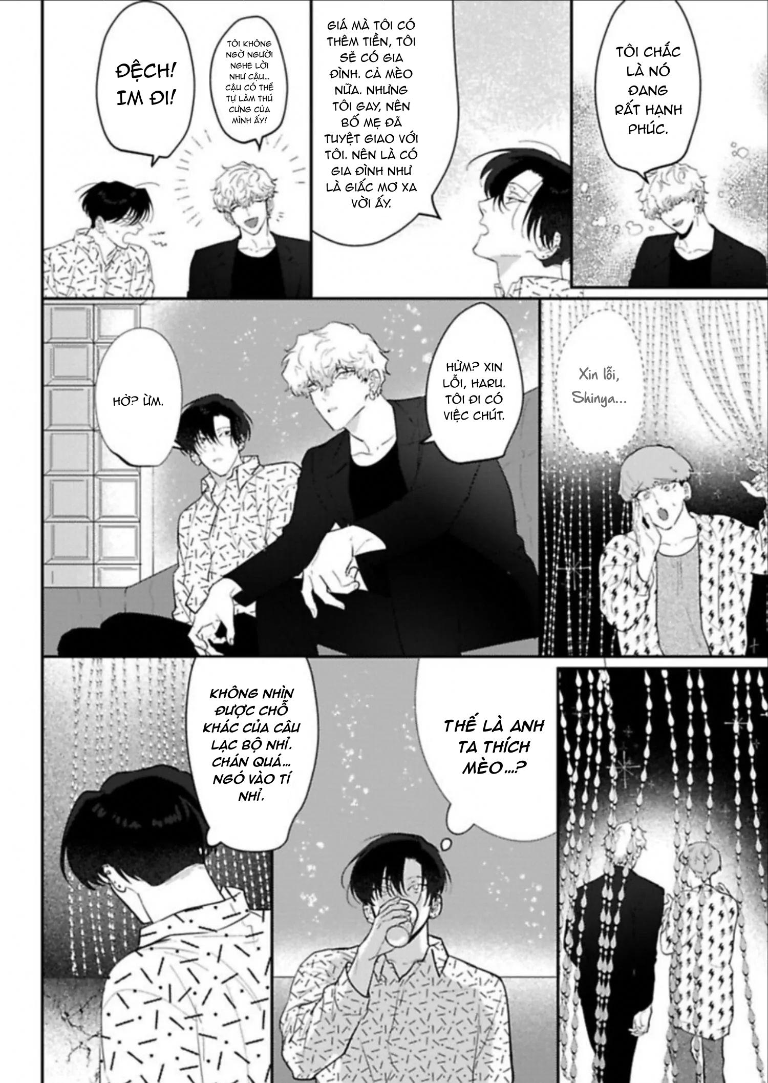 Đọc truyện Kabukicho Cat Honey - Chapter 2