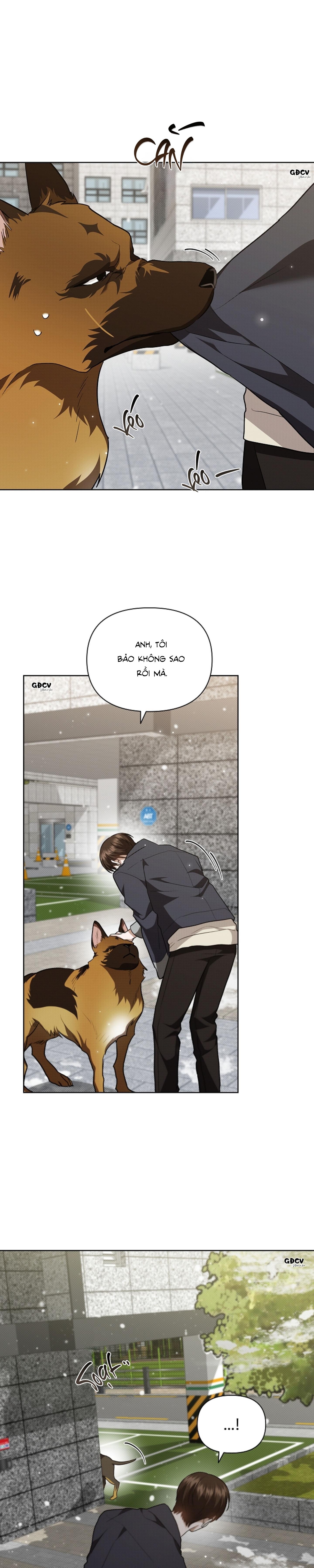 Đọc truyện ĐỪNG CHẠM VÀO CÚN CON CỦA TÔI - Chapter 23