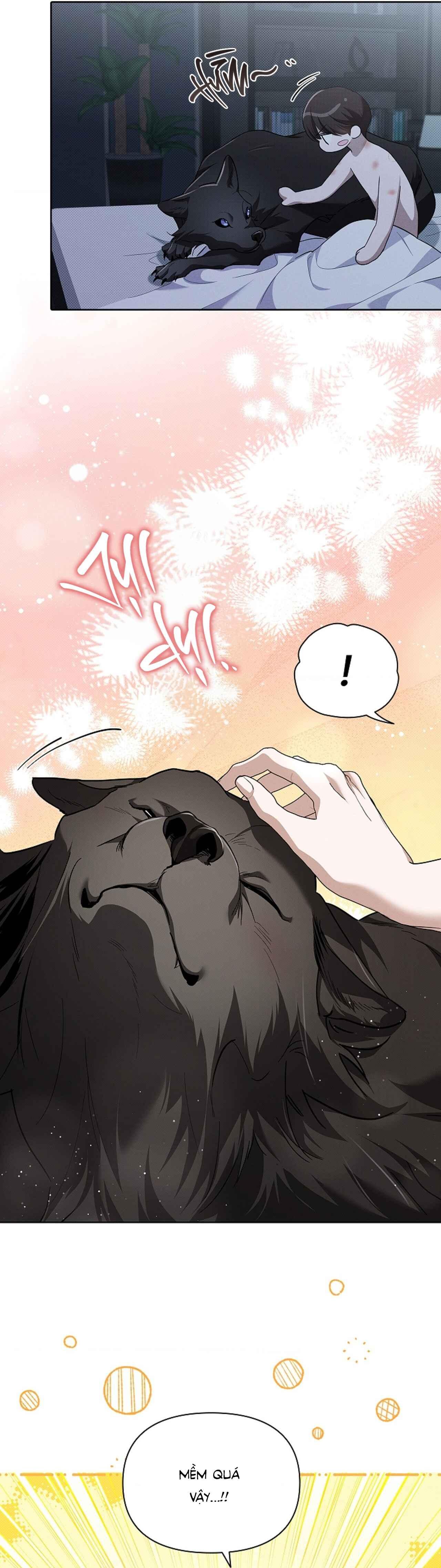 Đọc truyện ĐỪNG CHẠM VÀO CÚN CON CỦA TÔI - Chapter 27