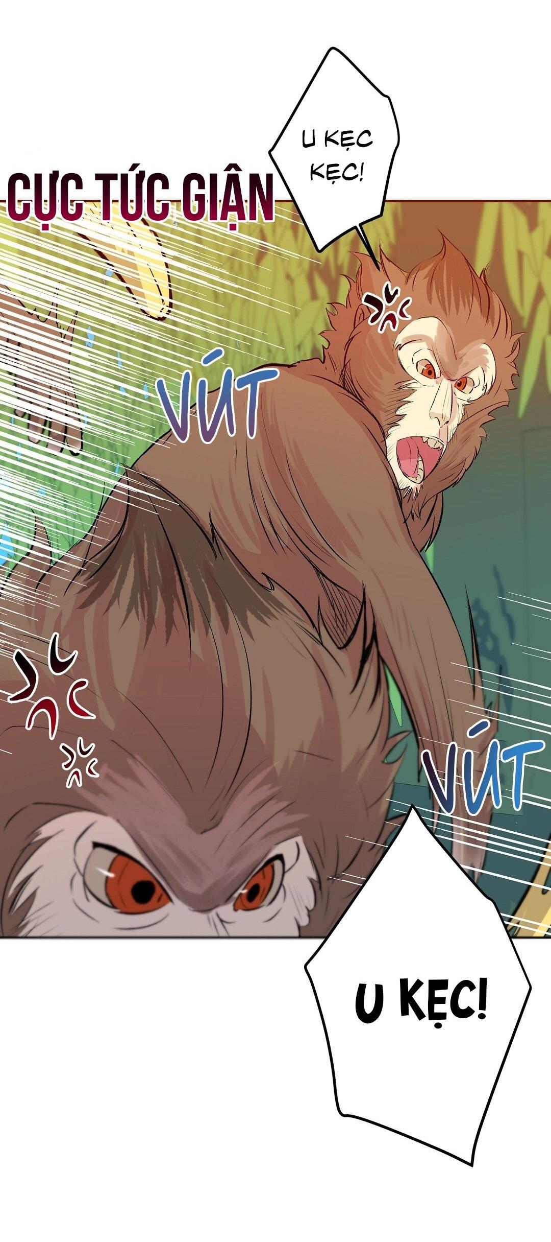 Đọc truyện CHUYỆN TÌNH ĐẢO HOANG - Chapter 9