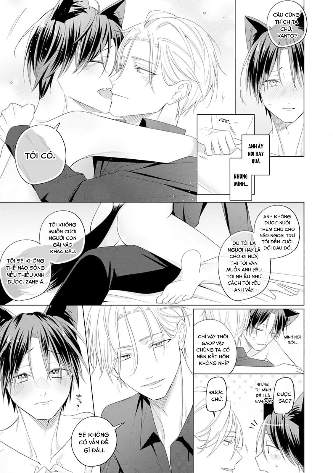 Đọc truyện Ở đây có yaoi hơi bị choáy - Chapter 220