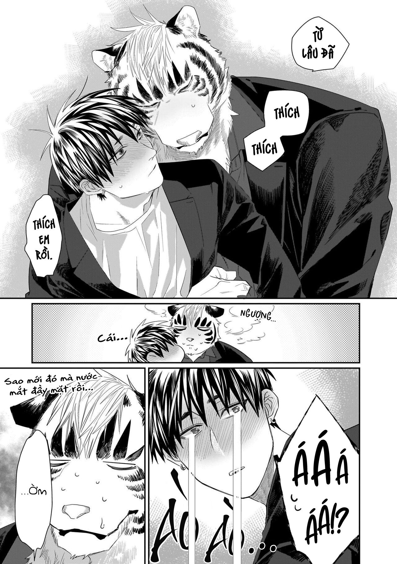 Đọc truyện Chào Mừng Tới Văn Phòng Thám Tử Torano - Chapter 5