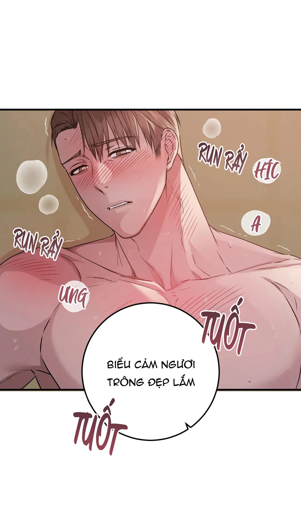 Đọc truyện Rắn Và Ân Nhân - Chapter 1