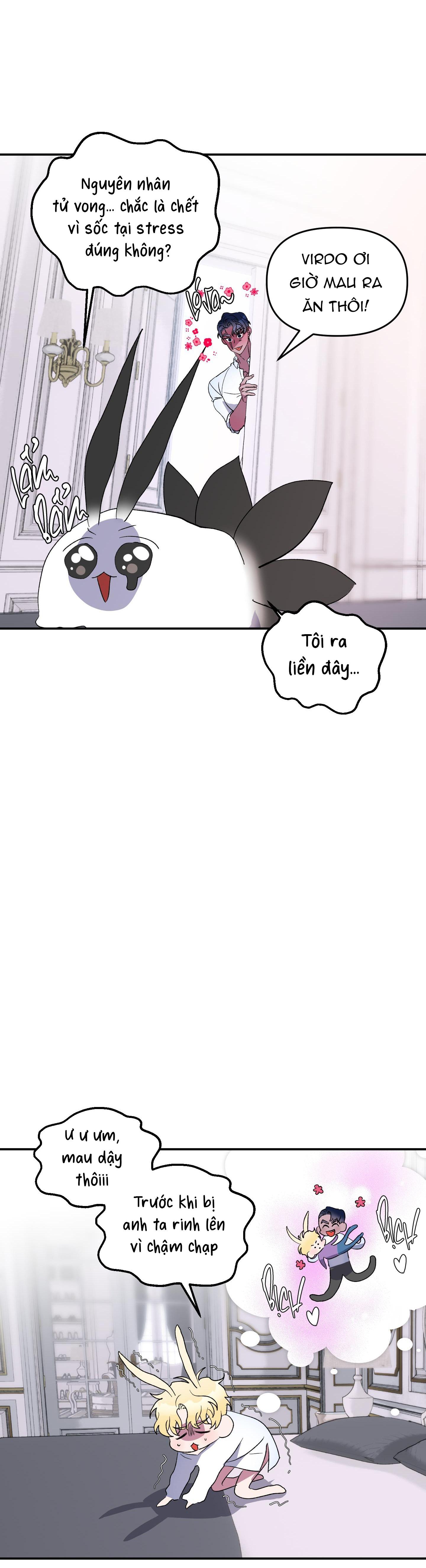 Đọc truyện CÁ MẬP VÀ CÔ DÂU THỎ - Chapter 26