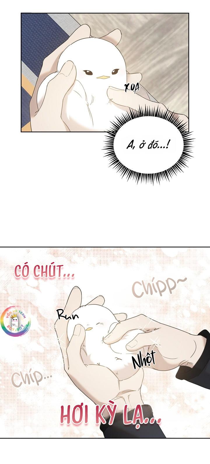 Đọc truyện Này, Đừng Có Nhấn Cái Nút Đó! - Chapter 5