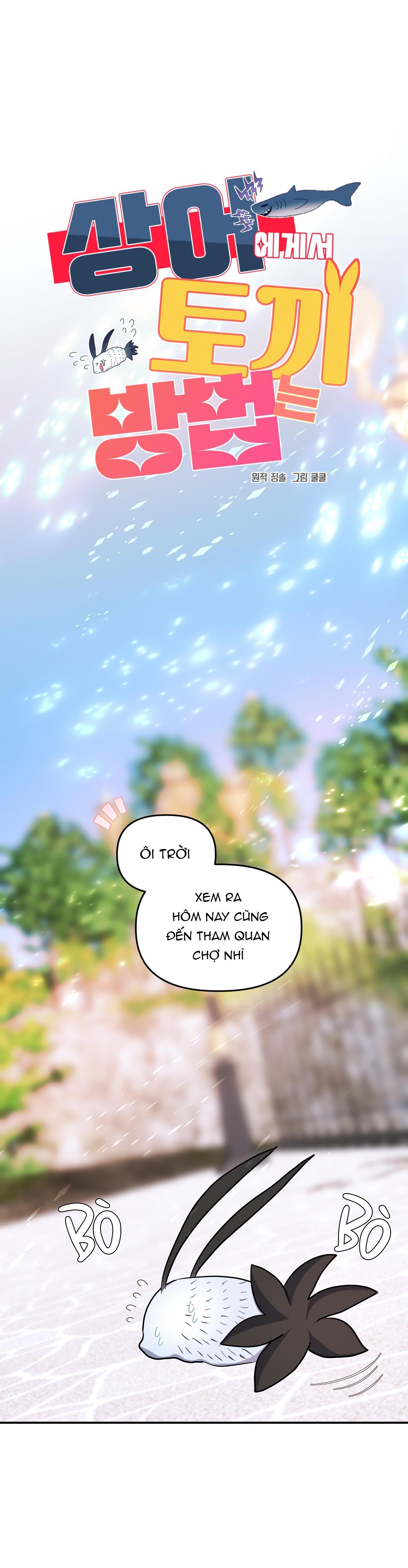 Đọc truyện CÁ MẬP VÀ CÔ DÂU THỎ - Chapter 33
