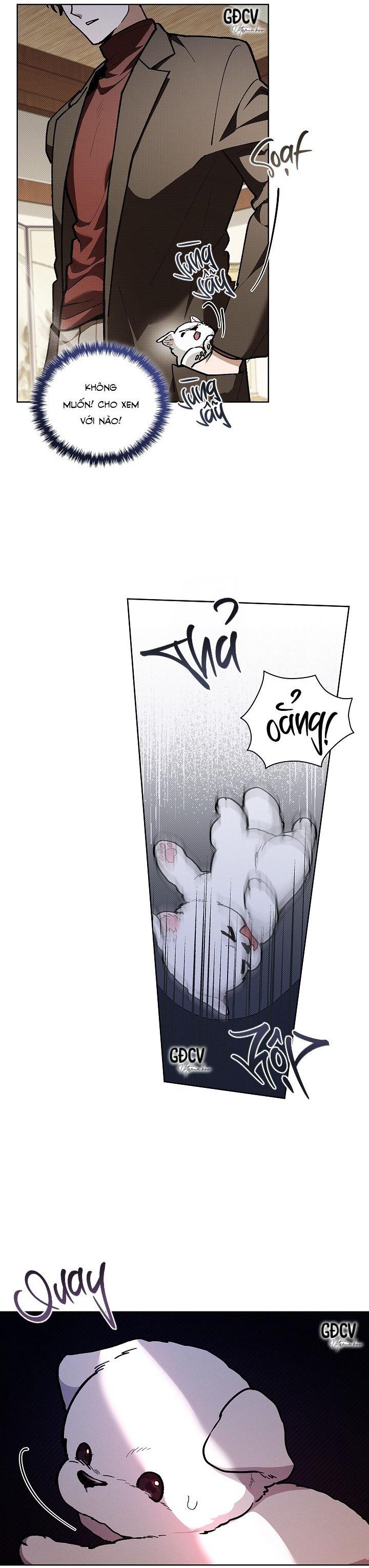 Đọc truyện ĐỪNG CHẠM VÀO CÚN CON CỦA TÔI - Chapter 6