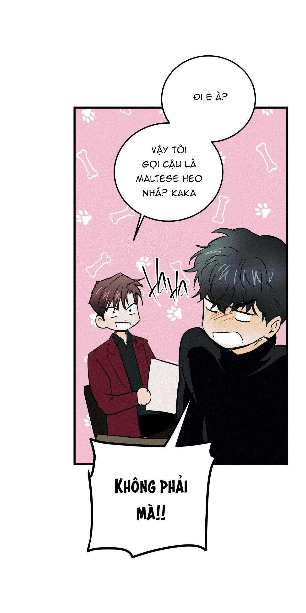 Đọc truyện LIE AGAIN - Chapter 30