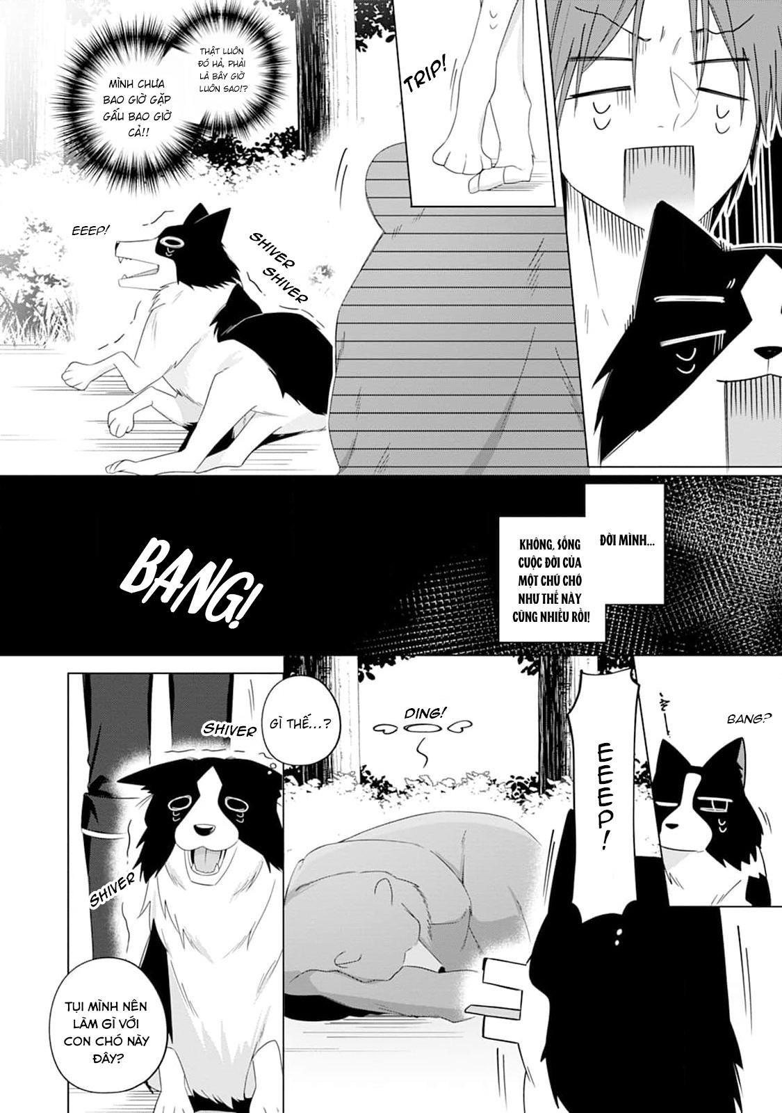 Đọc truyện Ở đây có yaoi hơi bị choáy - Chapter 220