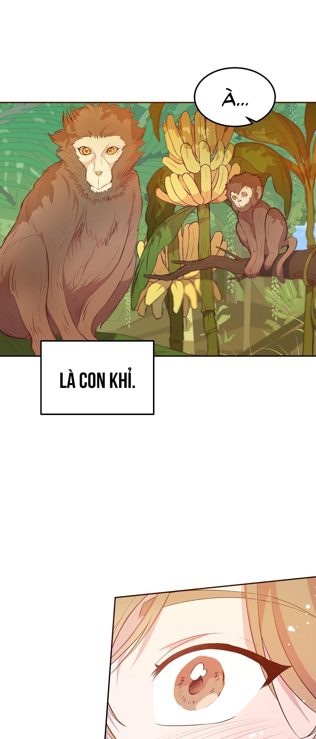 Đọc truyện CHUYỆN TÌNH ĐẢO HOANG - Chapter 7