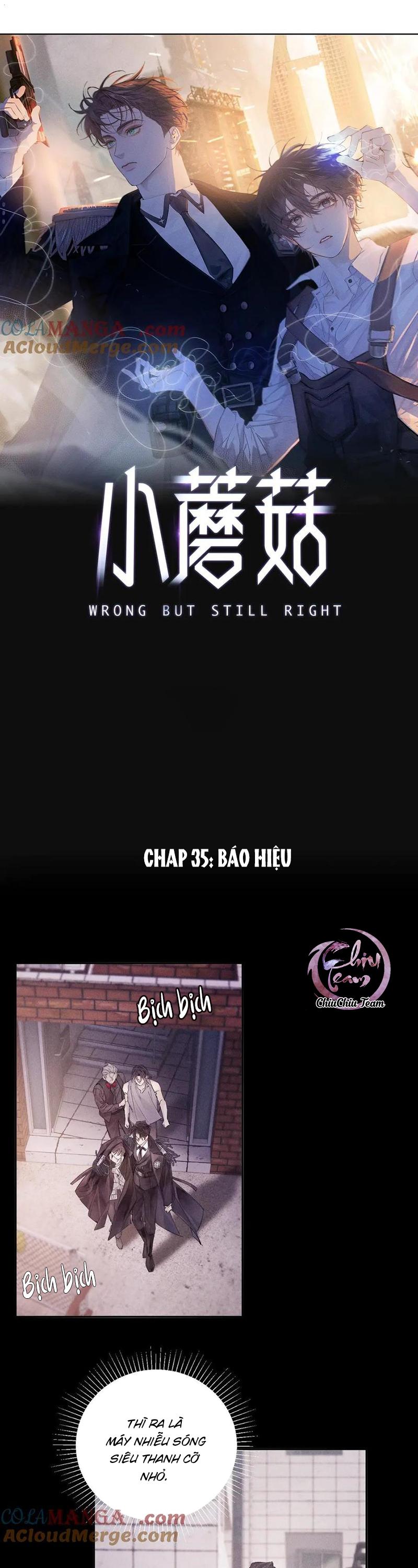 Đọc truyện Cây Nấm Nhỏ - Chapter 35