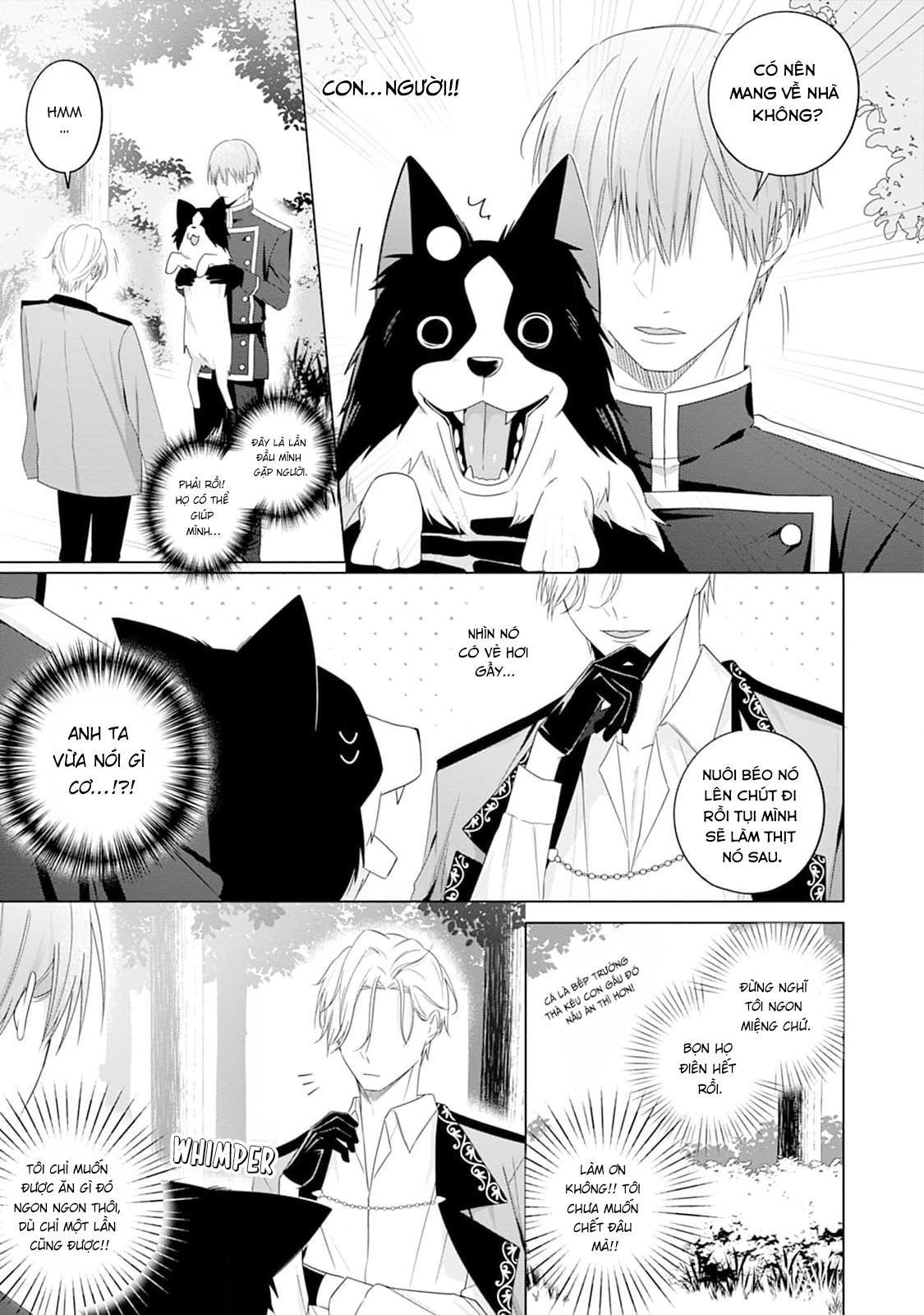 Đọc truyện Ở đây có yaoi hơi bị choáy - Chapter 220